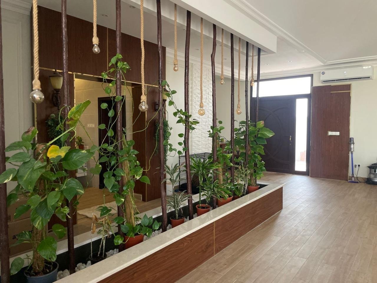 Planted timber screen hung with pendant bulbs dividing the hall from the entrance.
